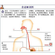 噎膈