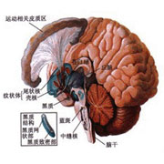 重音现象