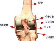 增生性骨膜炎